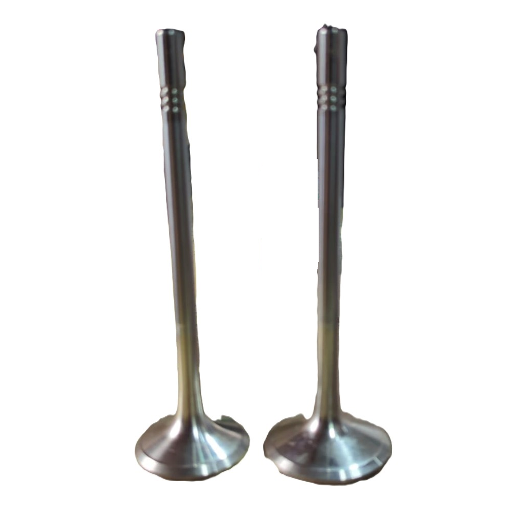 Kirloskar Genuine 4H.1432.41.0.00 Valve Pair Inlet Exhaust